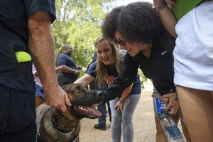 University Police K9 Dios greets students during Coffee with a Cop on the Union plaza. Photo by Thomas Graning/Ole Miss Communications