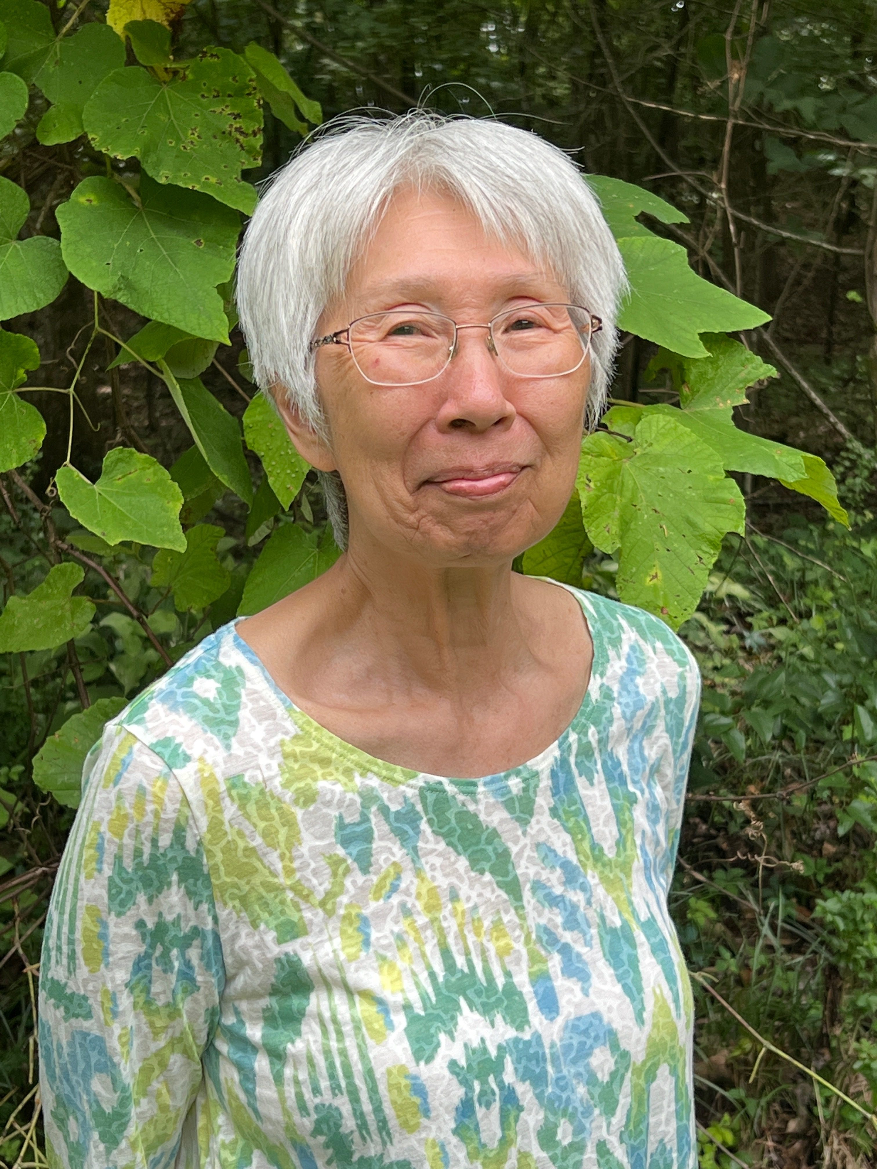 laws-faced-by-early-chinese-immigrants-the-oxford-eagle-the-oxford