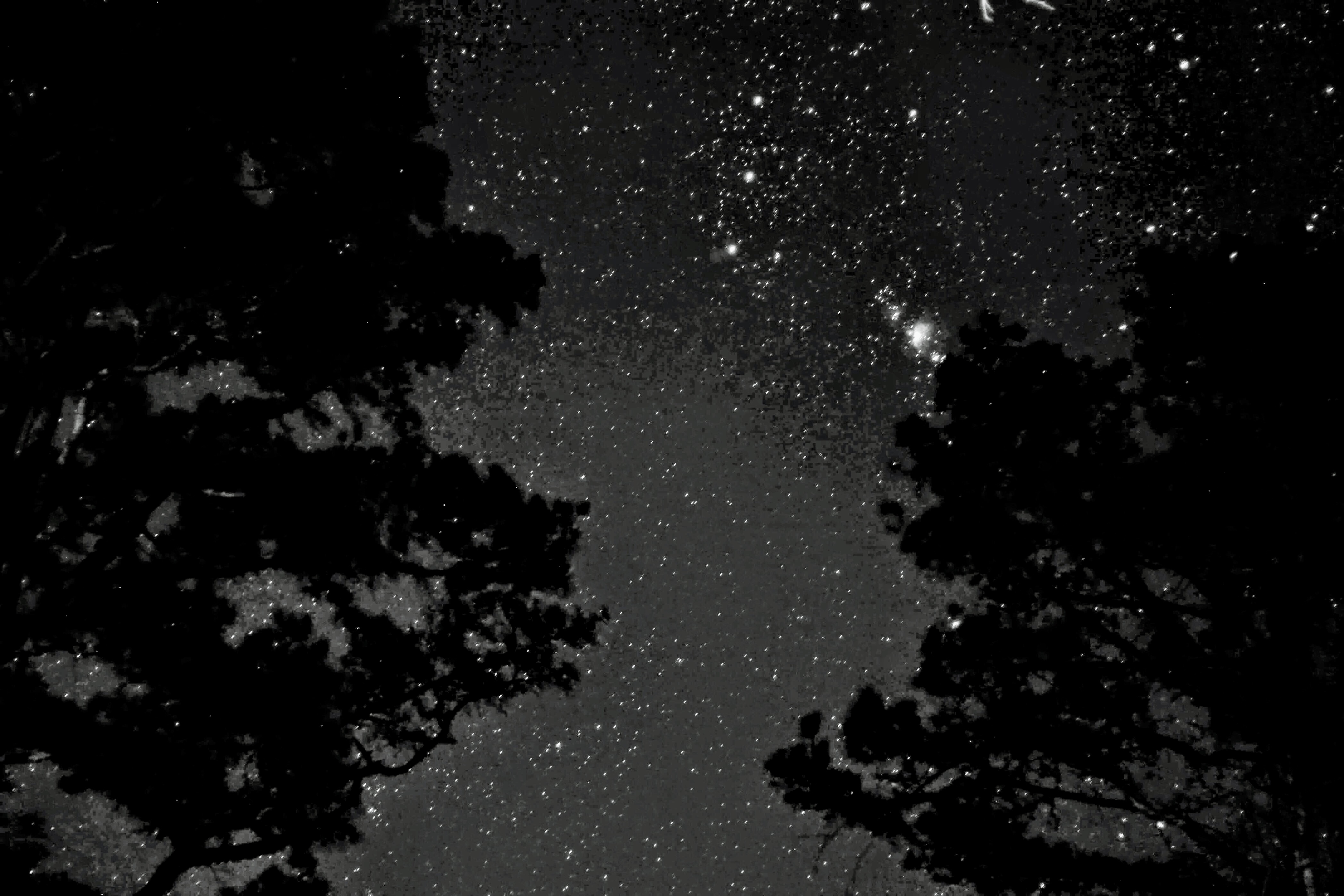 See the sky light up in Oxford The Perseid Meteor shower spectacle