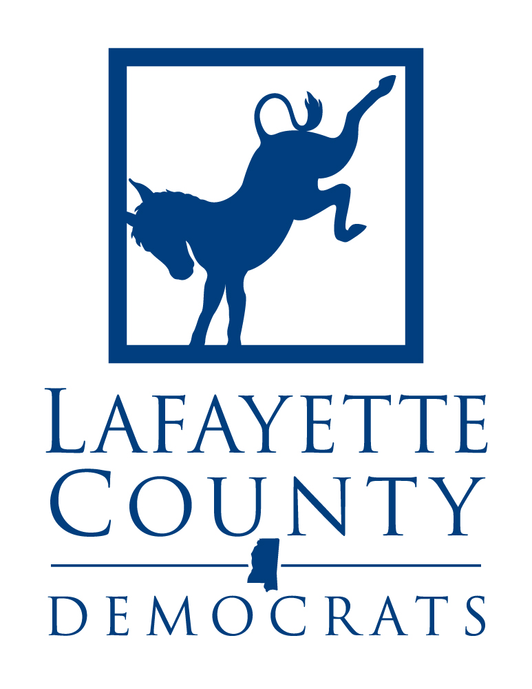 Local Democrats want grassroots participation to build stronger party