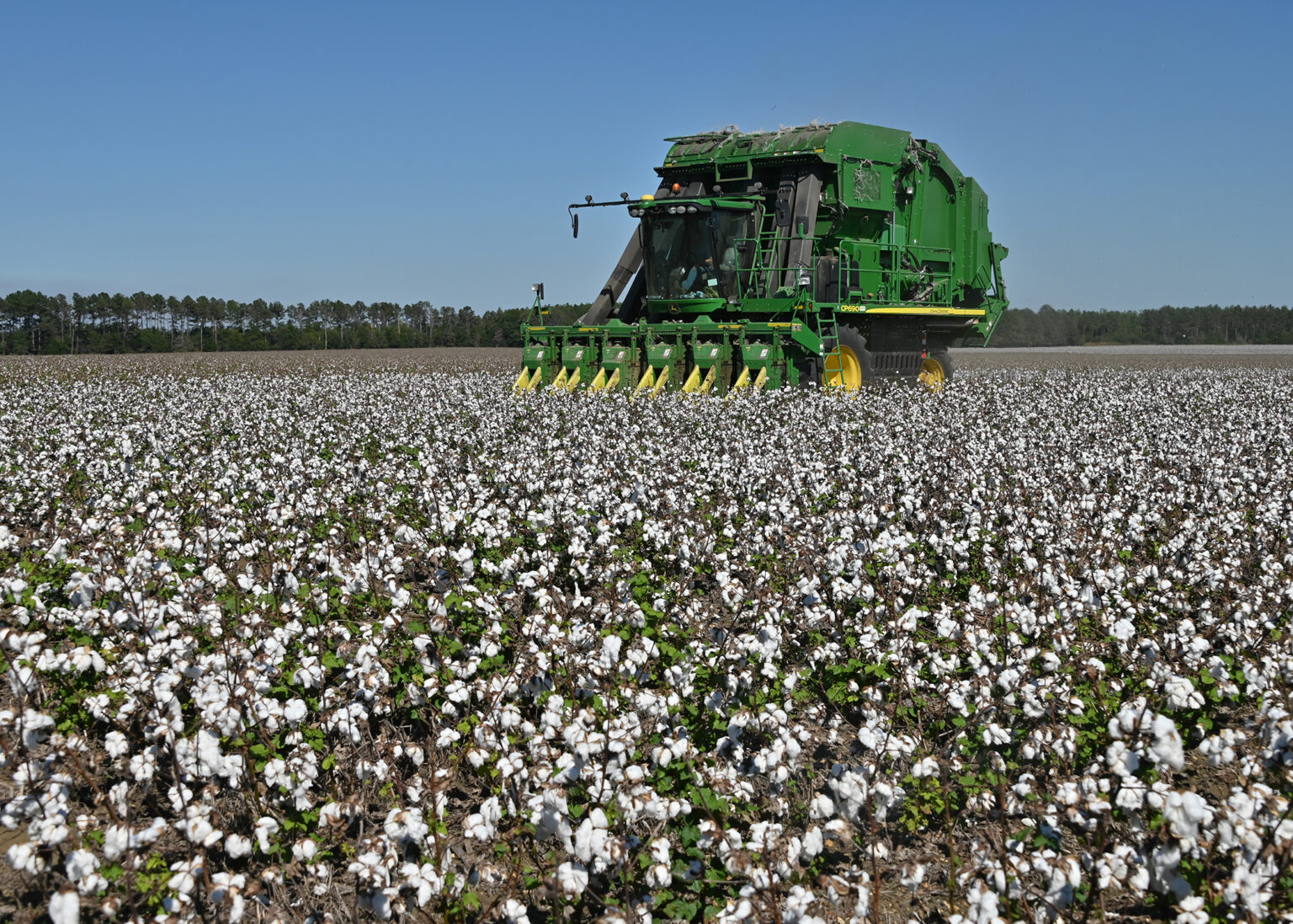Soybean, cotton harvests benefit from clear weather The Oxford Eagle