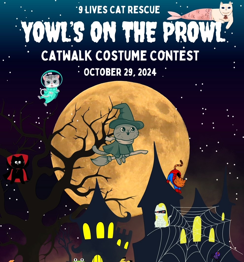 9 Lives hosts Halloween cat costume contest The Oxford Eagle The